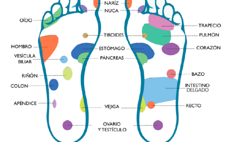 Para hacer masajes 2025 en los pies